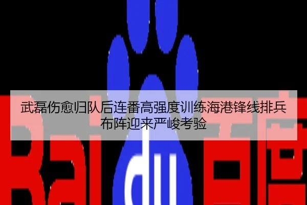 武磊伤愈归队后连番高强度训练海港锋线排兵布阵迎来严峻考验